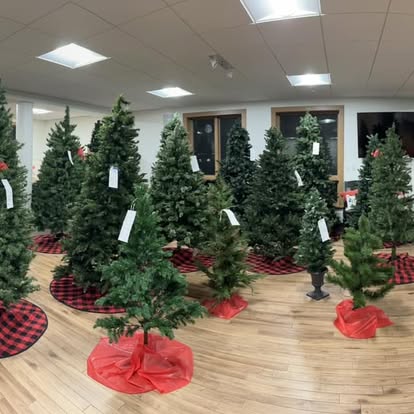 Artificial Christmas trees displayed at the sale